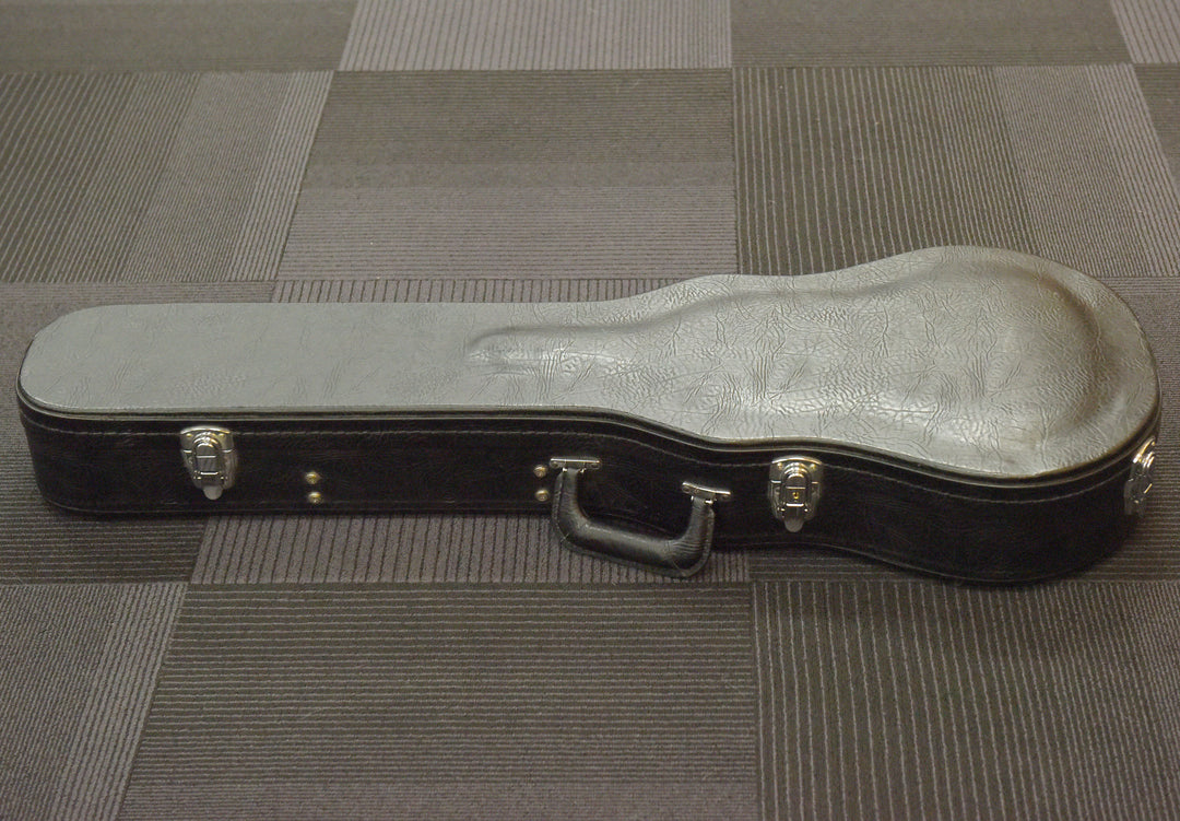 Les Paul-Fit Case, Recent