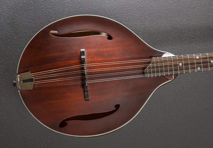 MDO305-CLA Octave Mandolin '21