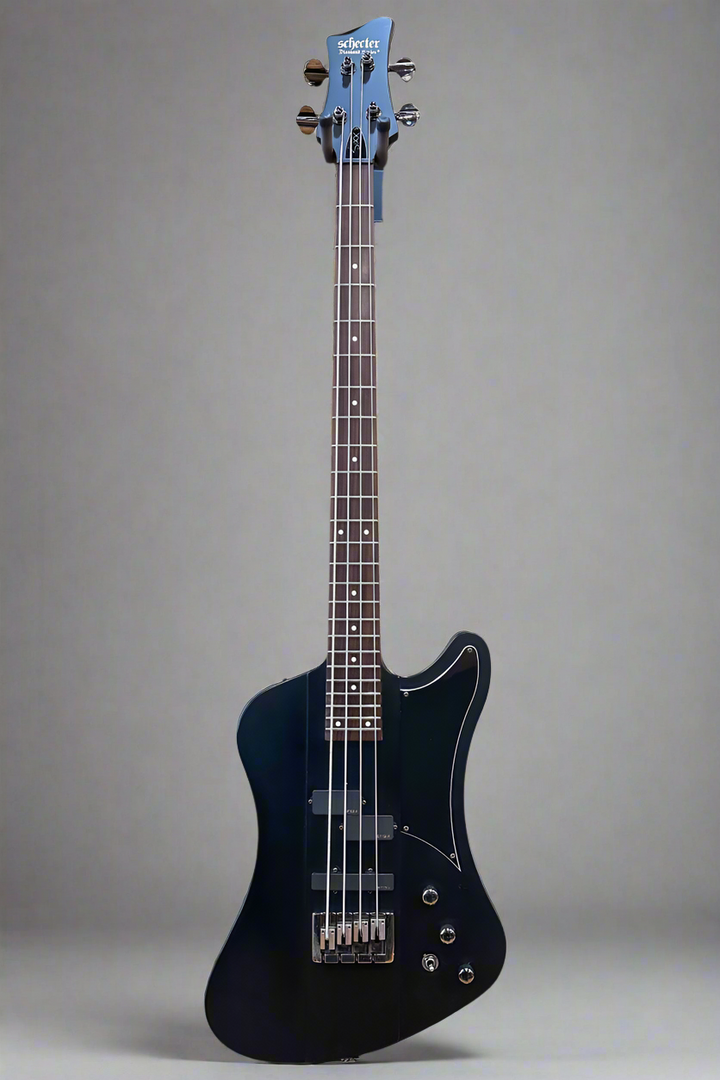 Nikki Sixx Bass '13