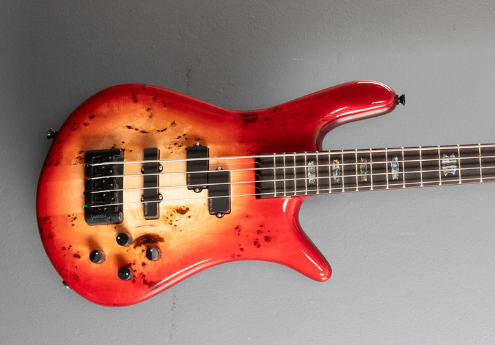 Euro 4 CST - Natural Red Burst Gloss