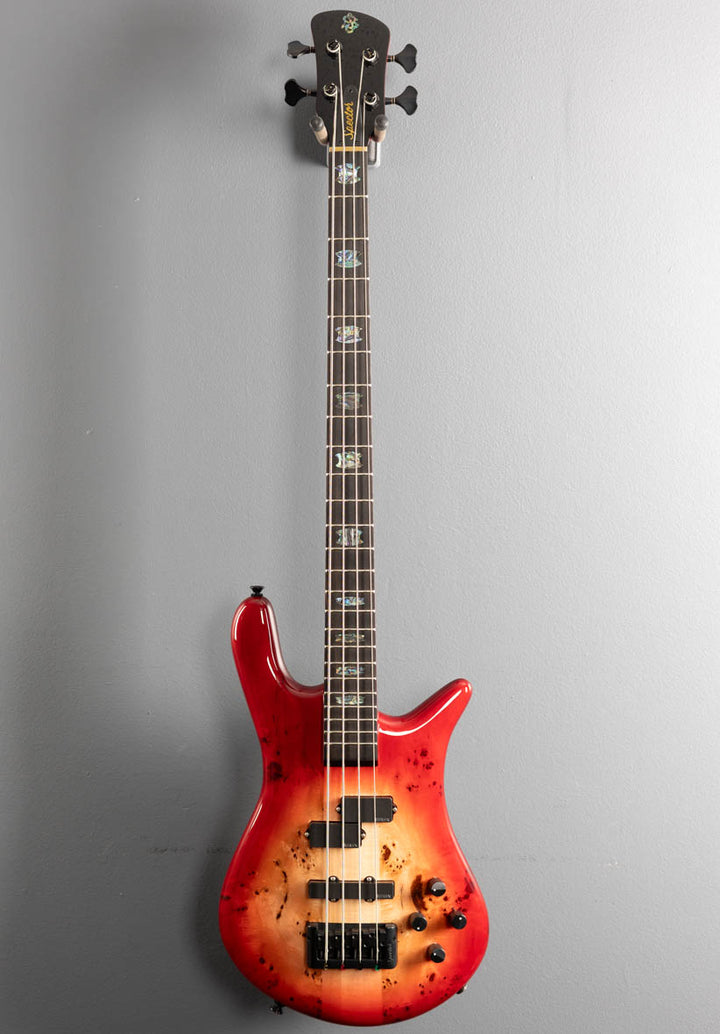 Euro 4 CST - Natural Red Burst Gloss