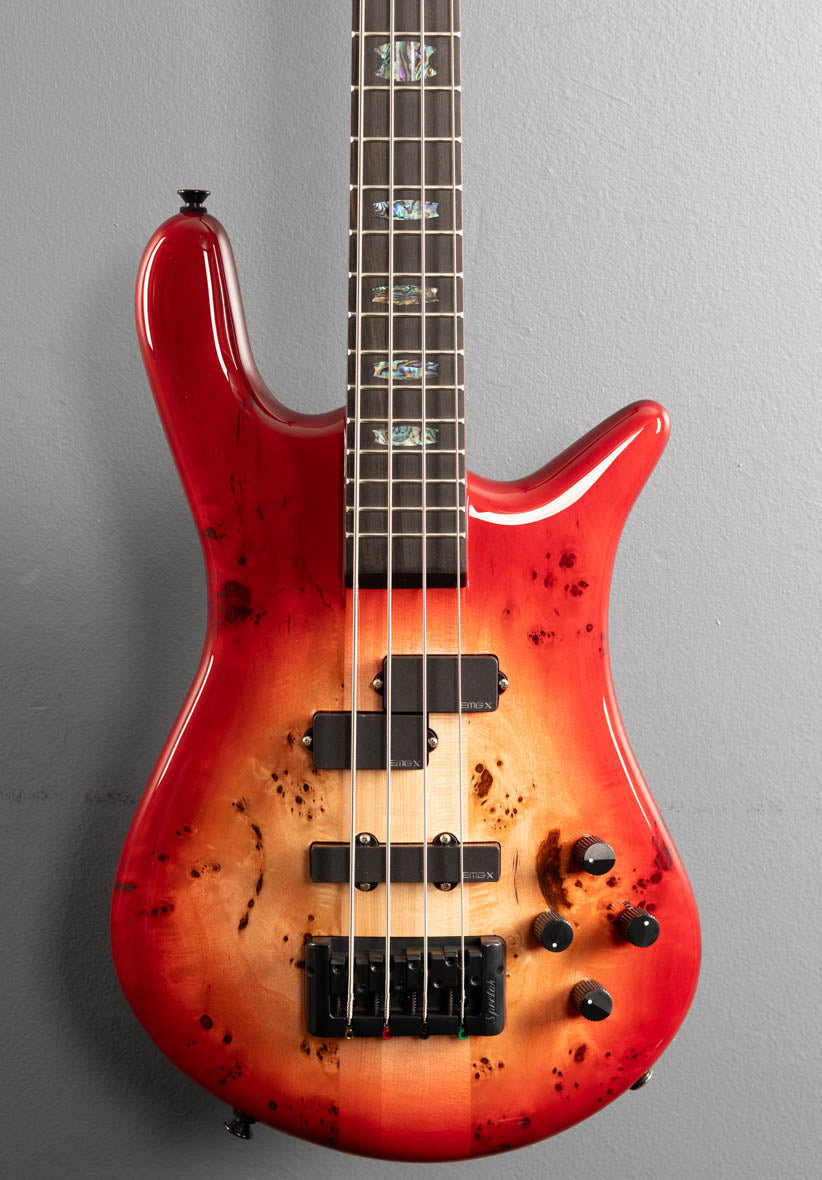 Euro 4 CST - Natural Red Burst Gloss