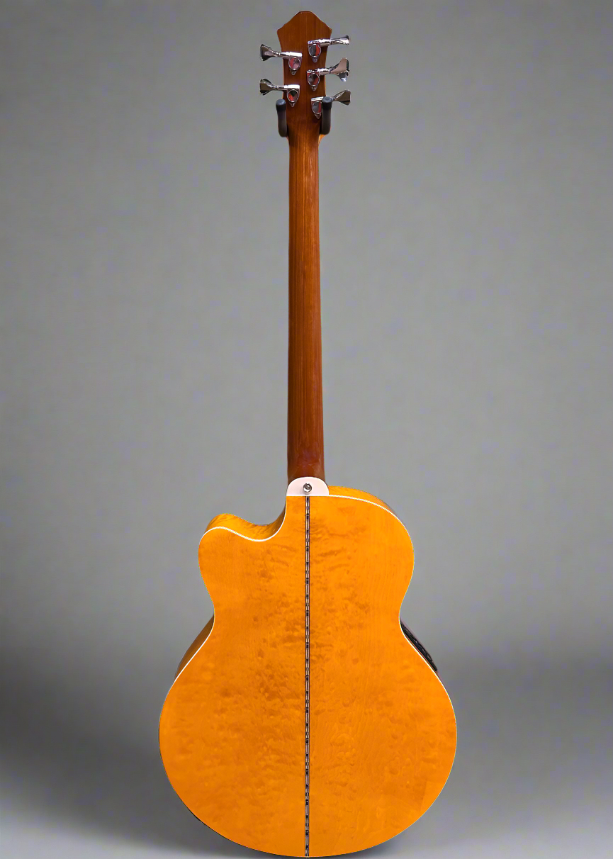 Dragonfly Fretless 5 String, Recent