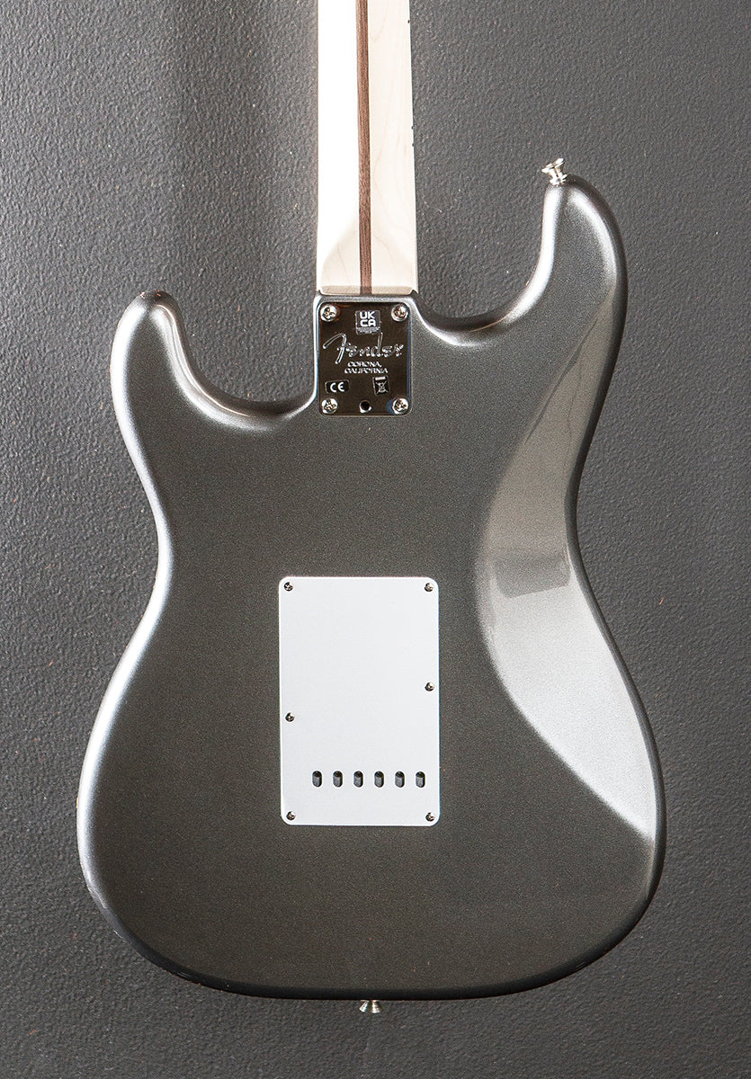 Eric Clapton Stratocaster - Pewter