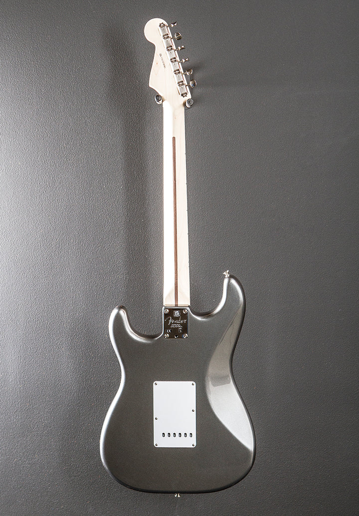 Eric Clapton Stratocaster - Pewter