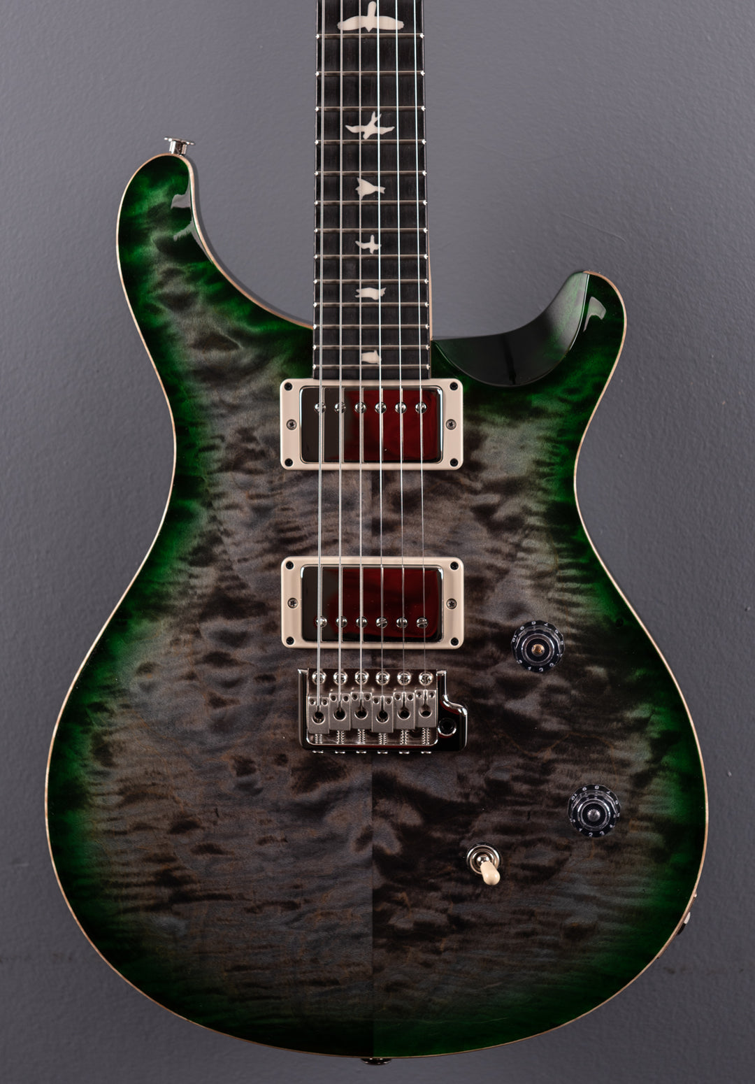 Dave's Guitar Shop Milwaukee 5th Anniversary CE-24 - Faded Grey Black Green Burst