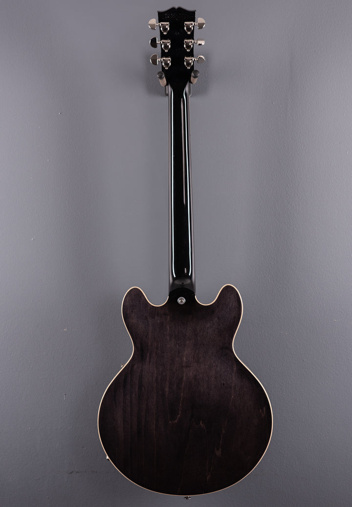 ES-339 - Transparent Ebony